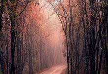 WELLBET：差点被残阵掀翻，北京险胜同曦，咋回事.