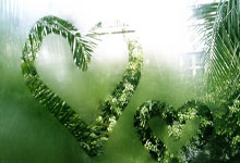 [网球]德约科维奇爆冷出局.